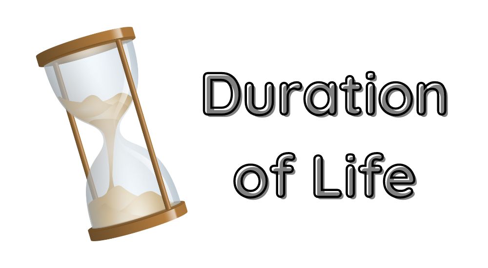 Duration of Life - Projector vs TV: The Best Choice for You